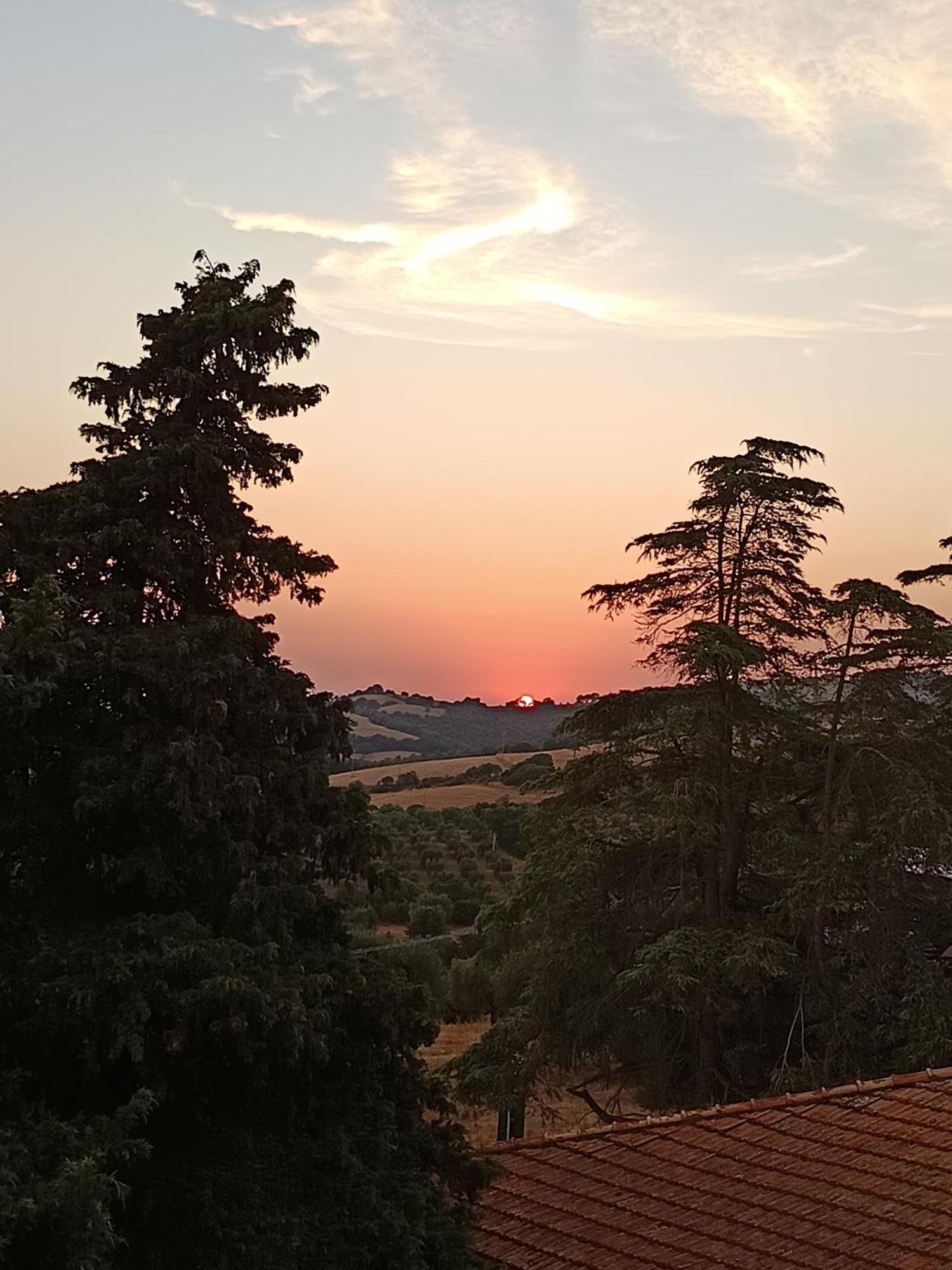 B&B Terramare Montiano  Extérieur photo