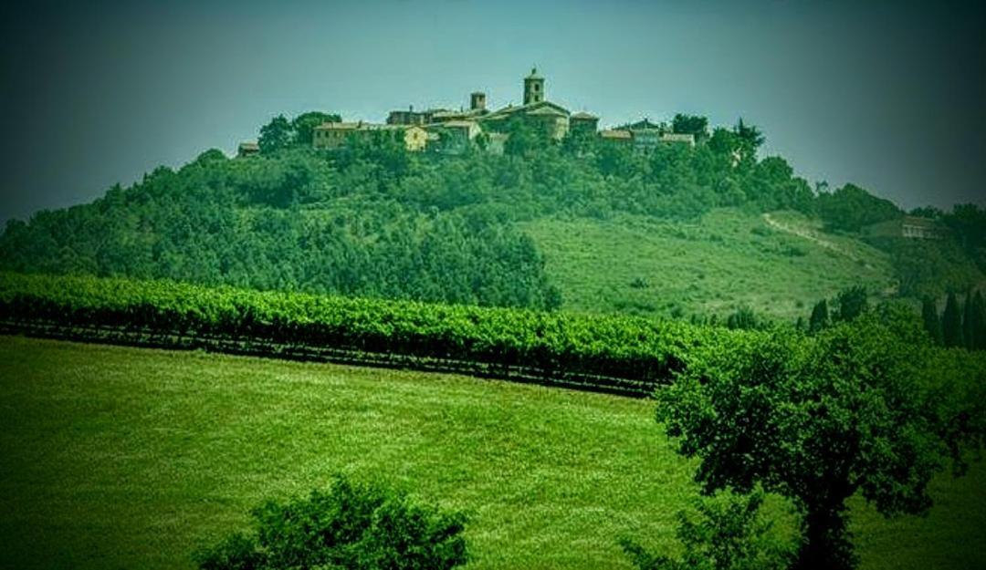 B&B Terramare Montiano  Extérieur photo